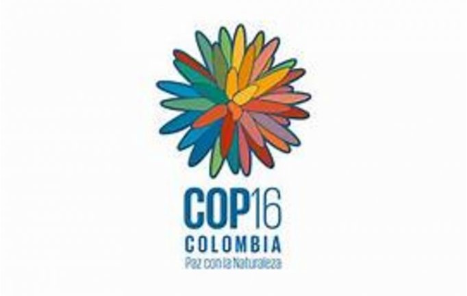 COP16 en Colombie : La biodiversité, si on en parlait vraiment ?