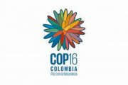 COP16 en Colombie : La biodiversité, si on en parlait vraiment ?