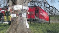 PÉTITION POUR SAUVER LE CHÊNE DE LA GARE DU VERNET D'ARIÈGE